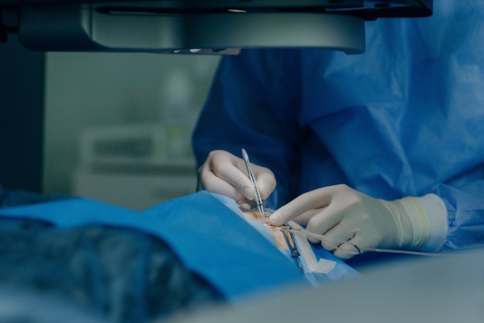 Эпикантус Эпикантус